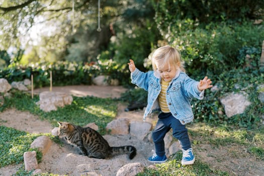 Little girl stands with her hands raised up near a cat sitting on the grass. High quality photo