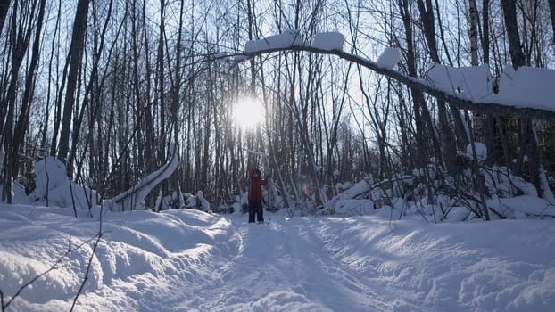 Child goes skiing in forest on sunny day. Creative. Child on ski trip on snowy winter day. Child on skis is walking along forest trail with bright sun.