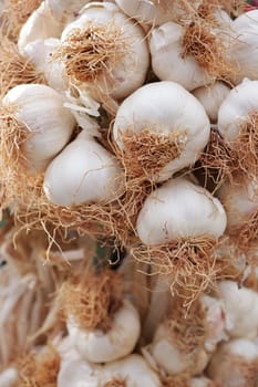 close up pf garlic on white background,,