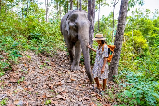 Asian woman visiting an Elephant sanctuary in Chiang Mai Thailand, a girl with an elephant in the jungle rainforest of Chiang Mai Thailand.