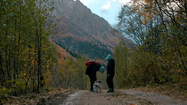 People who went hiking in the mountains. Creative. Cute boys stroking the dog who are standing on the trail and behind them you can see the cloudy forested mountains. High quality 4k footage