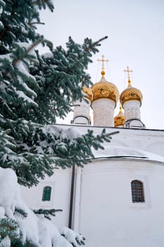 Spruce branches covered with snow against the background of a white church with golden domes