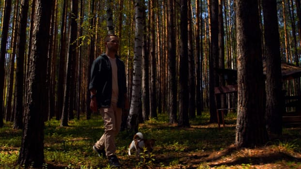 A man and walking in the woods with a small beautiful dog. Stock footage. Walking with a dog in a pine tree grove