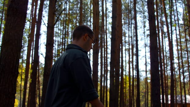 Person is walking in a forest. Stock footage. Rear view of a hiker walking in the summer forest