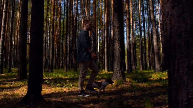 A man and walking in the woods with a small beautiful dog. Stock footage. Walking with a dog in a pine tree grove