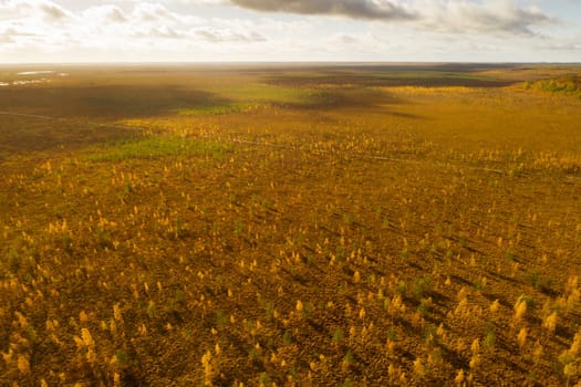 An aerial view of an autumn bog in Yelnya, Belarus, autumn. Ecosystems ecological problems climate change.