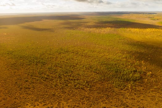 An aerial view of an autumn bog in Yelnya, Belarus, autumn. Ecosystems ecological problems climate change.