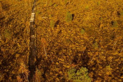 An aerial view of an autumn bog in Yelnya, Belarus, autumn. Ecosystems ecological problems climate change.