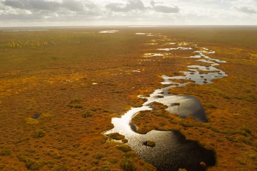 An aerial view of an autumn bog in Yelnya, Belarus, autumn. Ecosystems ecological problems climate change.