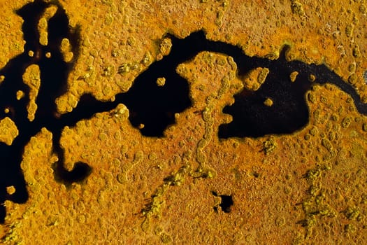 An aerial view of an autumn bog in Yelnya, Belarus, autumn. Ecosystems ecological problems climate change.