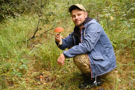 A mushroom picker holds in his hands an aspen bush growing in the forest. Mushrooms in the forest. Mushroom picking.