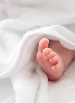 A heartwarming image showcasing the fragile foot of a newborn, subtly revealed from beneath a comforting white towel
