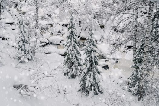 Beauty winter landscape with fair trees under the snow.