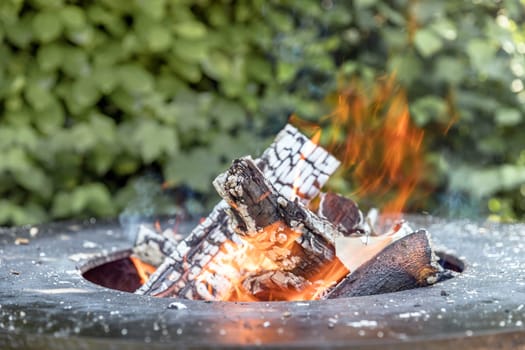 Bonfire close up. Burning firewood in nature against the defocused background of grass. Ashes and coals.