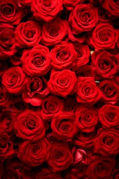 Texture of red roses background a lot. Selective focus. Valentine.