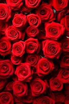 Texture of red roses background a lot. Selective focus. Valentine.