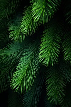 Dark green pine needles filling the frame - Generative AI