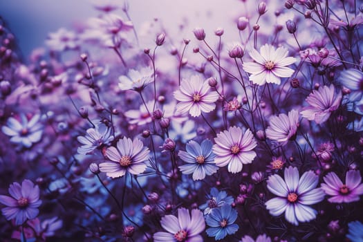 Beautiful spring background with lilac flowers for your design