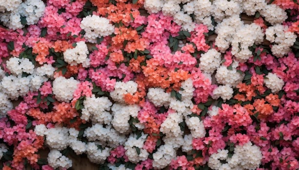 Pink, orange and white colors flowers wall. Top view flower wall background.