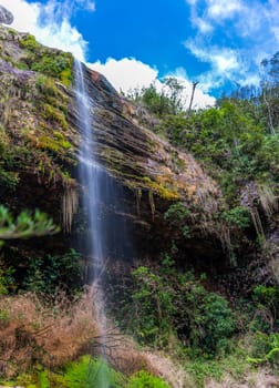 Long-exposure photo of a forest waterfall on a cliff under a cloudy sky