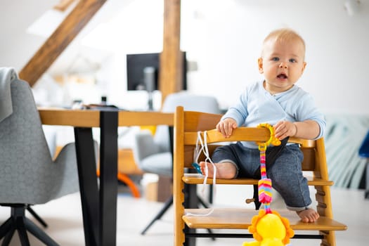 Happy infant sitting and playing with his toy in traditional scandinavian designer wooden high chair in modern bright atic home. Cute baby