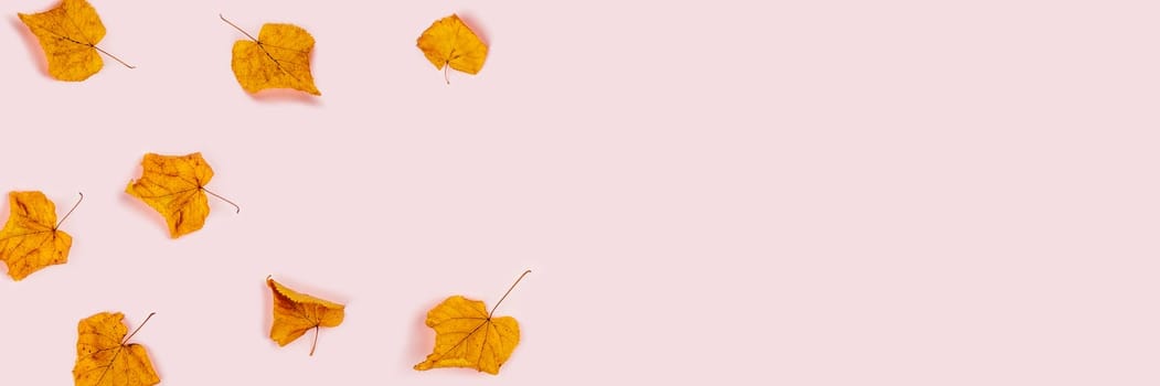 Fall web banner. Pink background with orange dry leaves in a left corner. Flat lay, top view, copy space.