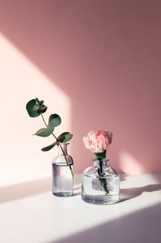 Two glass vases with a sprig of fresh eucalyptus and a rose standing on the table in the sunlight.