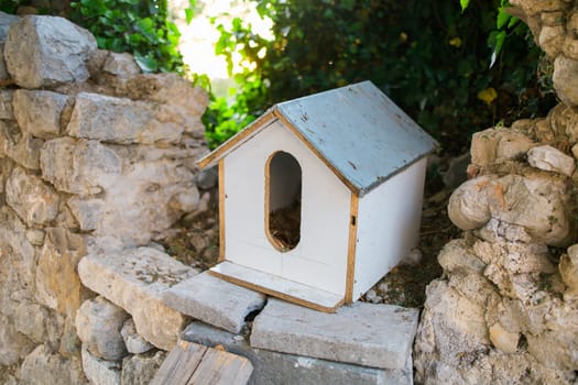 Hand made house for homeless cats stands in the park among the trees