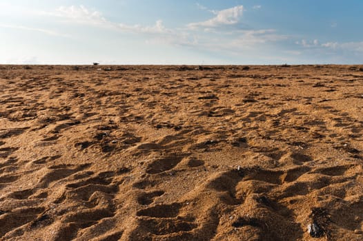 Golden sand of the sea and ocean coast polluted by dry algae washed ashore.