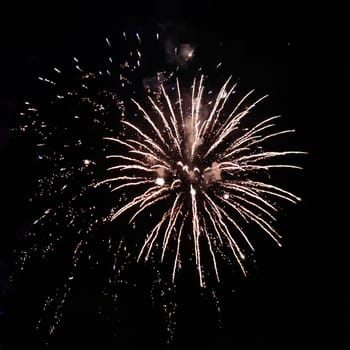 Circle explosion of festive real fireworks with golden sparks on black background for overlay blending mode.