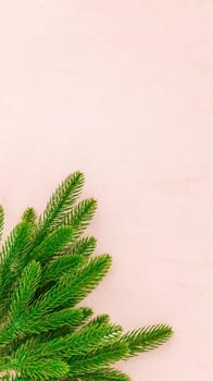 A bouquet of fir branches lies on the left on a soft pink background, and on the right is a copy space from above, flat lay close-up.