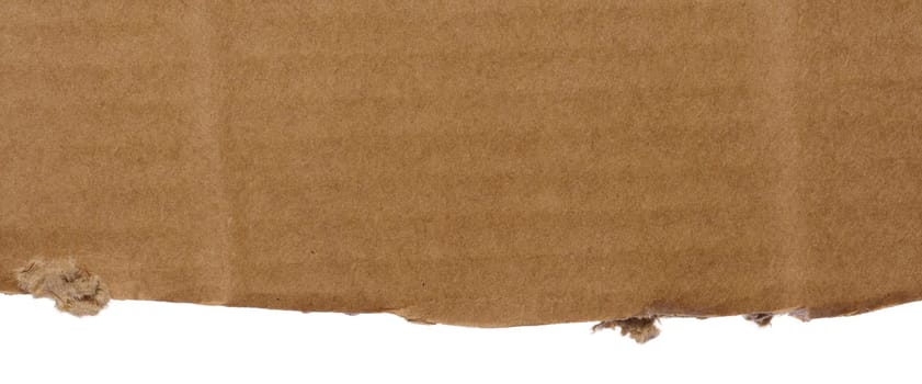 Torn piece of cardboard on a white isolated background