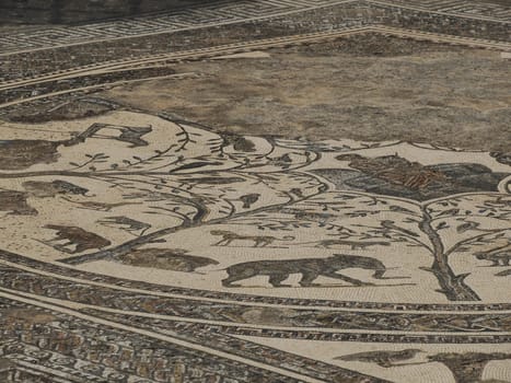 Mosaic of Volubilis Roman ruins in Morocco- Best-preserved Roman ruins located between the Imperial Cities of Fez and Meknes on a fertile plain surrounded by wheat fields.