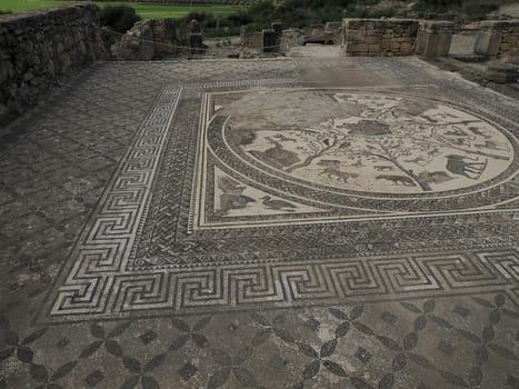 Mosaic of Volubilis Roman ruins in Morocco- Best-preserved Roman ruins located between the Imperial Cities of Fez and Meknes on a fertile plain surrounded by wheat fields.