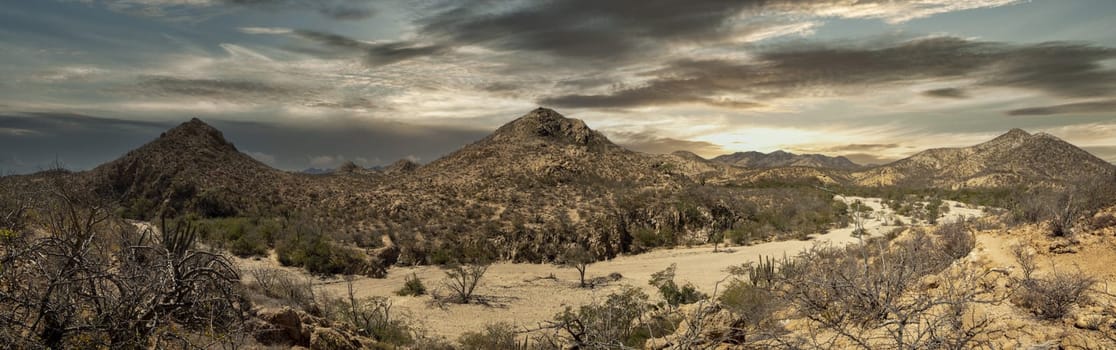 Aerial view of Cabo Pulmo national park, Baja California Sur, Mexico drone