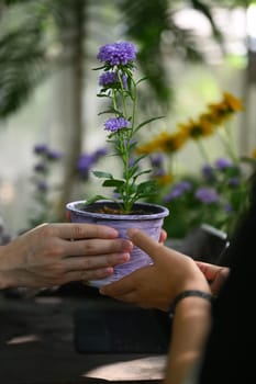 Cropped shot of florist giving a potted plant to customer at floral store