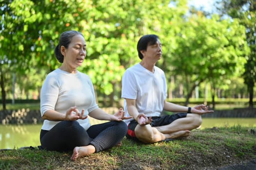 Calm elderly couple practice yoga and breathing exercises on green grass at summer park