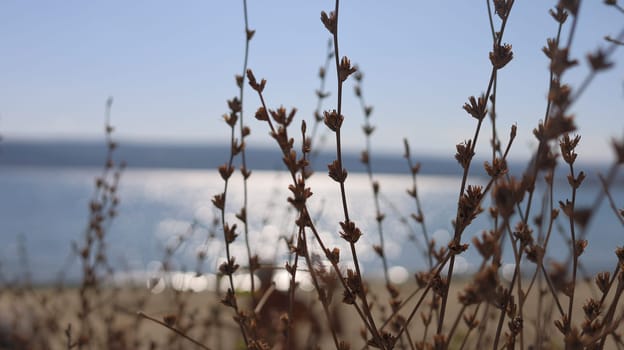 Scenic blurred background view on the beach