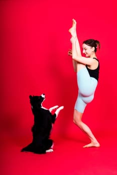 Woman with cute dog border collie is in a studio. Sport with pet