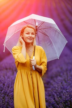 A middle-aged woman in a lavender field walks under an umbrella on a rainy day and enjoys aromatherapy. Aromatherapy concept, lavender oil, photo session in lavender.