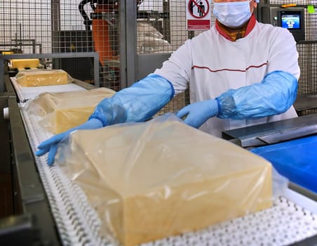 Two workers start making blocks of cheese in a factory. Worker on a cheese production line.