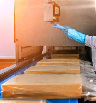 Two workers start making blocks of cheese in a factory. Worker on a cheese production line.