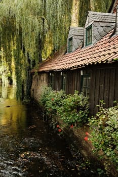Vertical shot of a wooden medieval house with flowers by a pond in Goslar, Germany