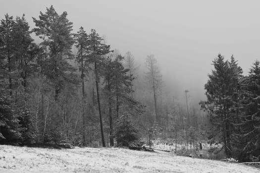 Chilling view of snow-covered coniferous trees at Rammelsberg in Goslar, Germany