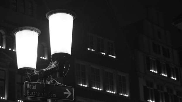 Grayscale shot of an old street light in icy night in Muenster, Germany