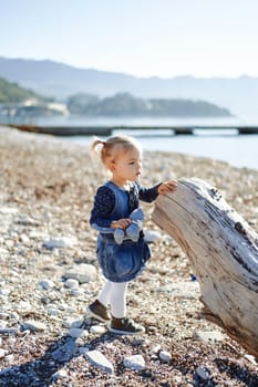 Little girl with a toy stands near a driftwood with her hand on it. Side view. High quality photo