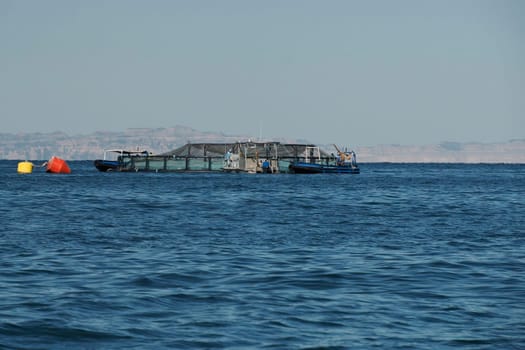 A fish farm cortez sea baja california sur landscape panorama from boat