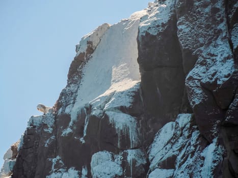 A white birds droppings rock in cortez sea baja california sur landscape from boat