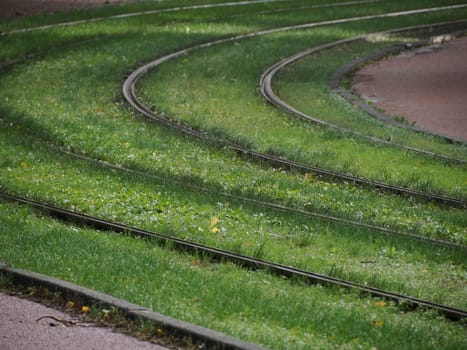 rail tracks with grass Amsterdam view on rainy day Netherlands