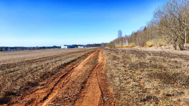 Dry dirt clay rural road in a field, stretching to the horizon in early spring. Rustic landscape